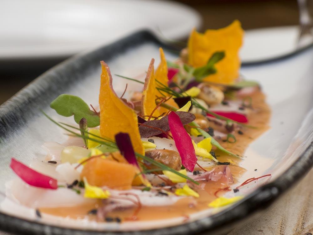 Peira Blanca Hotel Gastronomico 가로스 외부 사진