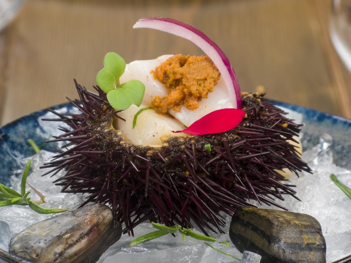 Peira Blanca Hotel Gastronomico 가로스 외부 사진